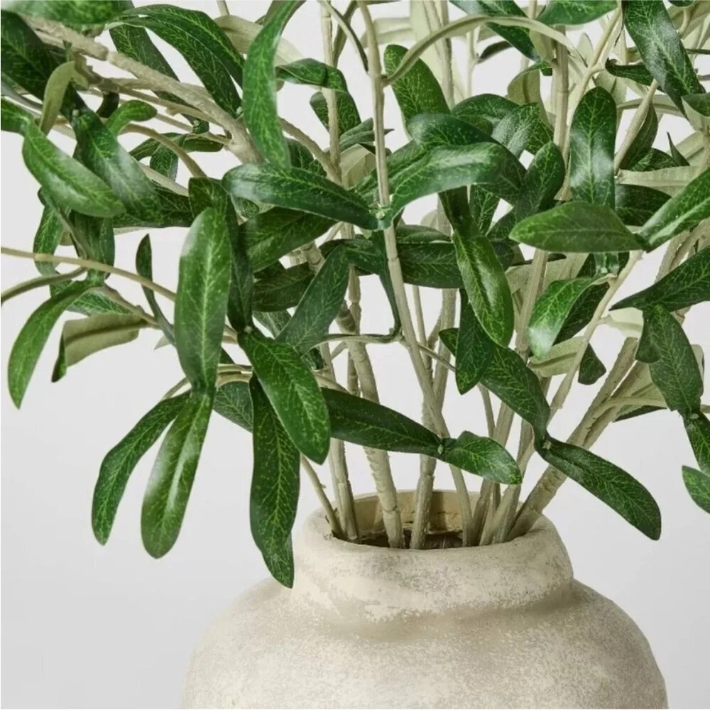 Olive Leaf Potted Arrangement - Threshold designed with Studio McGee